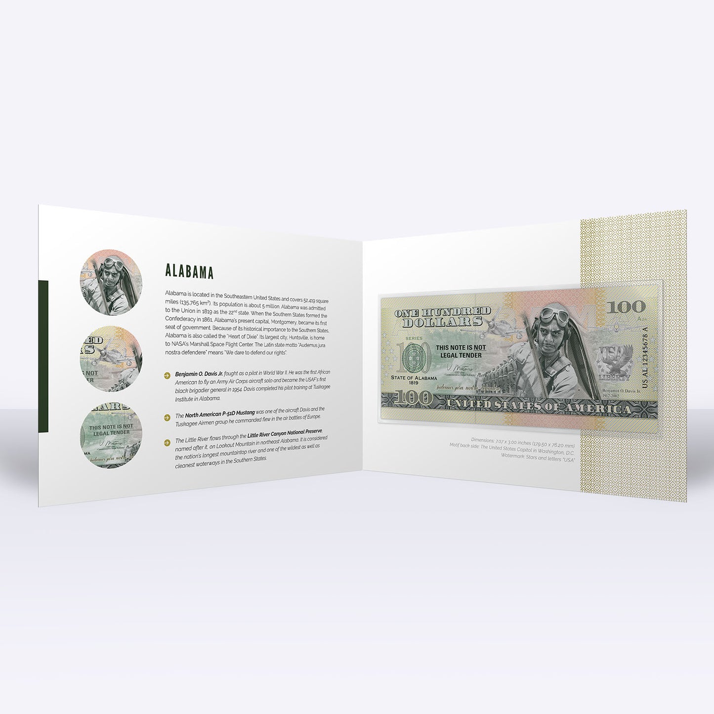 Souvenirschein 100 Dollar Alabama - Herz des Südens