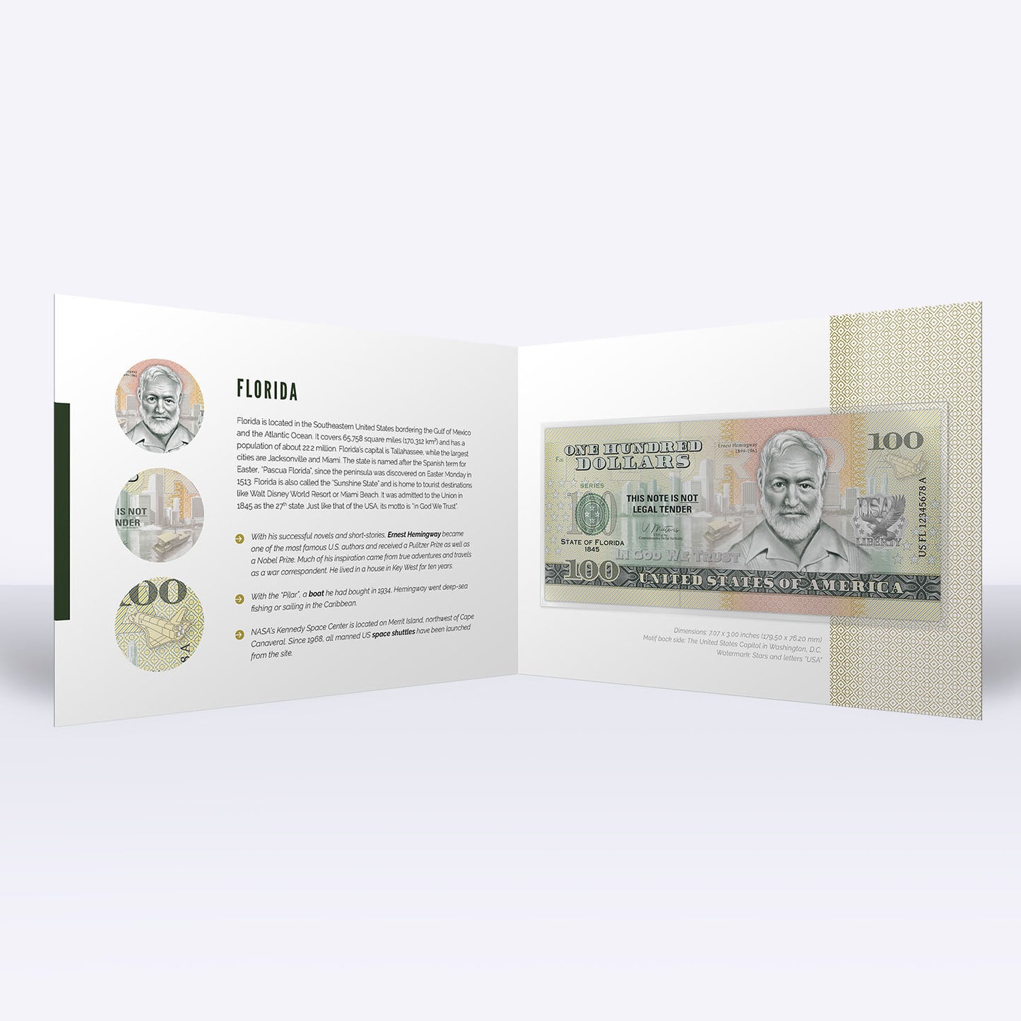 Souvenirschein 100 Dollar Florida - The Sunshine State