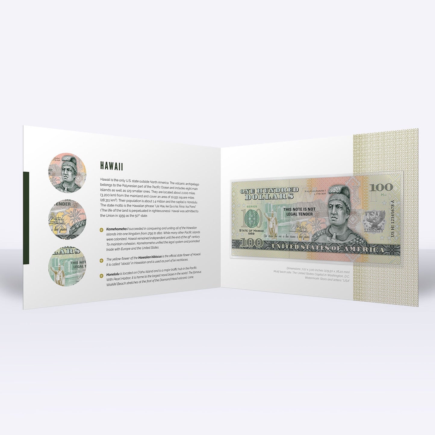 Souvenirschein 100 Dollar Hawaii - The Aloha State