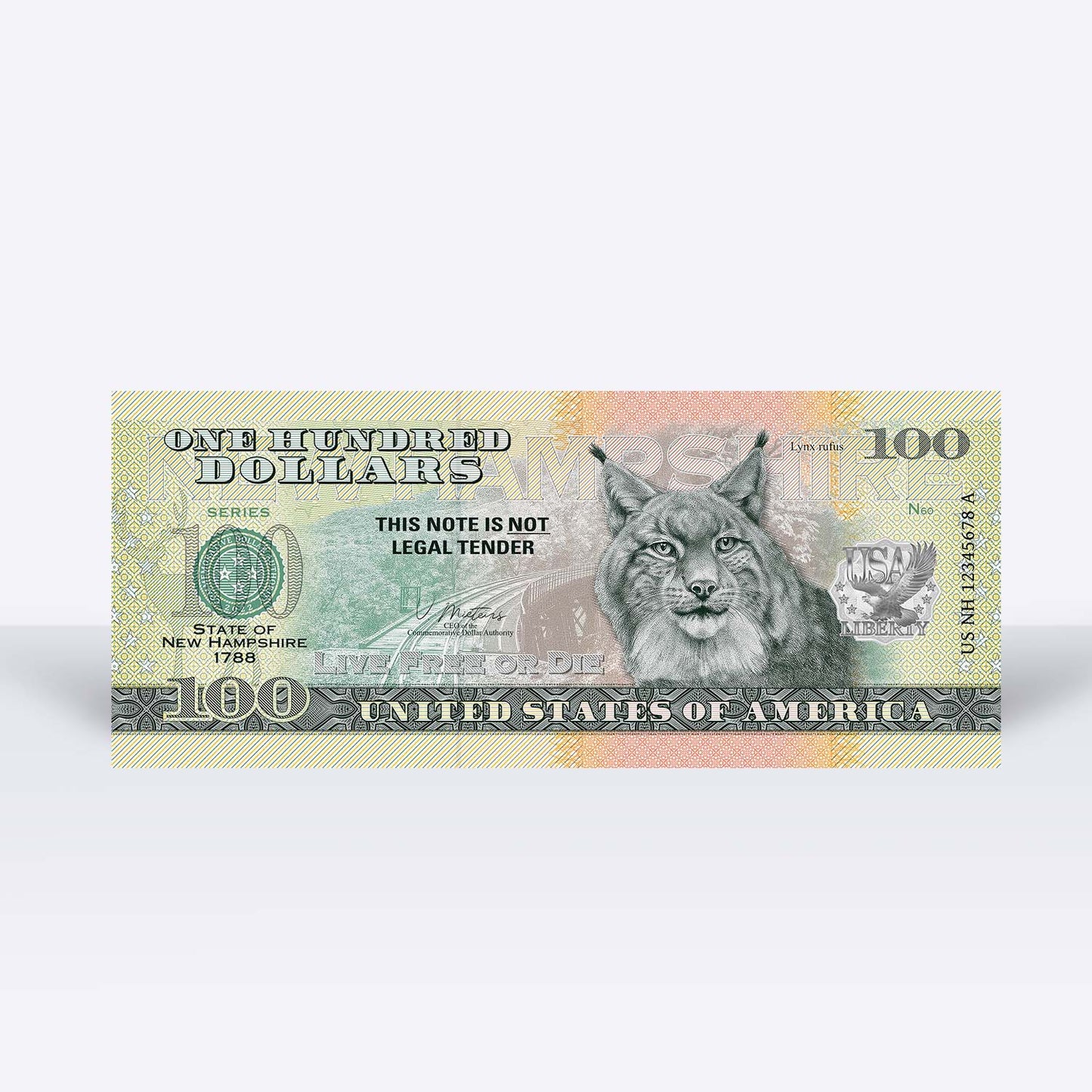 Souvenirschein 100 Dollar New Hampshire - The White Mountain State
