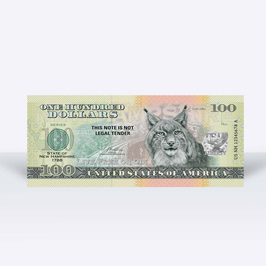 Souvenirschein 100 Dollar New Hampshire - The White Mountain State
