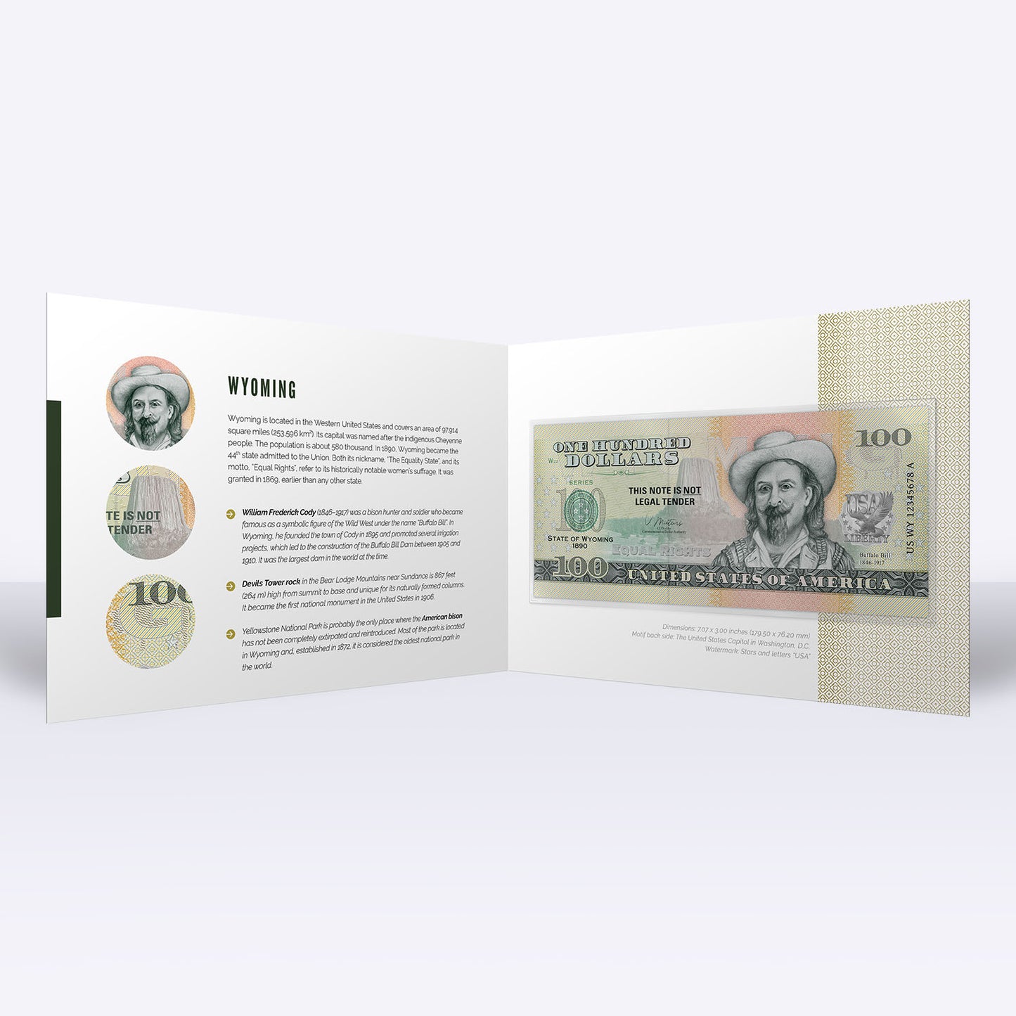 Souvenirschein 100 Dollar Wyoming - The Equality State